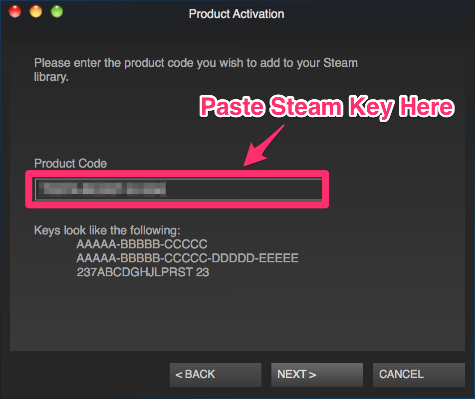 Get your steam game serial key west